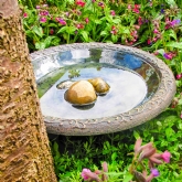 Thumbnail 3 - Eco Friendly Coniston Bird Bath