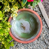 Thumbnail 2 - Terracotta Bird Bath with William Blake Quote