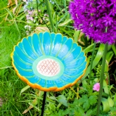 Thumbnail 1 - African Daisy Bird Drinker