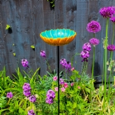 Thumbnail 2 - African Daisy Bird Drinker