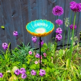 Thumbnail 4 - African Daisy Bird Drinker