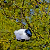 Thumbnail 4 - Hanging Ceramic Sheep With Wool 
