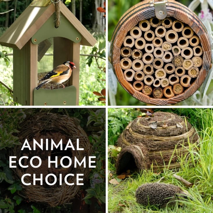 Animal Eco Home Choice Voucher Gift Pack