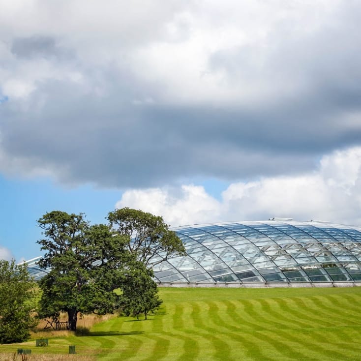 Afternoon Welsh Tea with Prosecco in The Iconic Great Glasshouse for Two