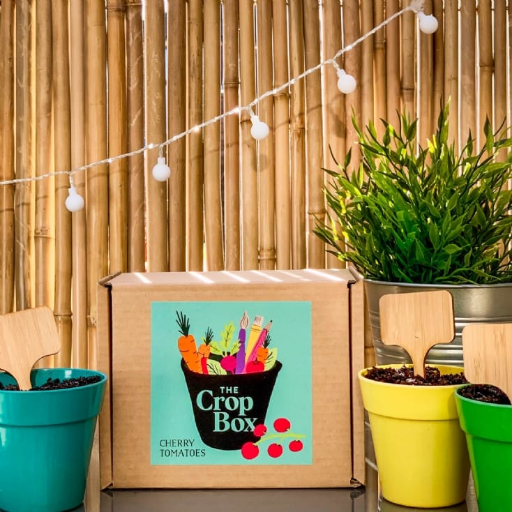 6 Month Seasonal Crop Box Subscription for an Adult or Child