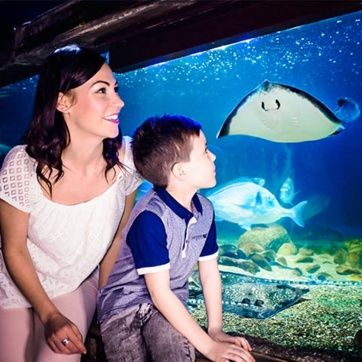 Sealife London Aquarium and 2 Course Meal at The Hard Rock Cafe for Two