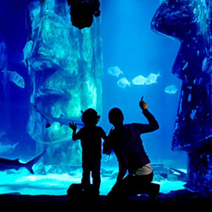 Sealife London Aquarium 2 Course Meal at The Hard Rock Cafe for Two