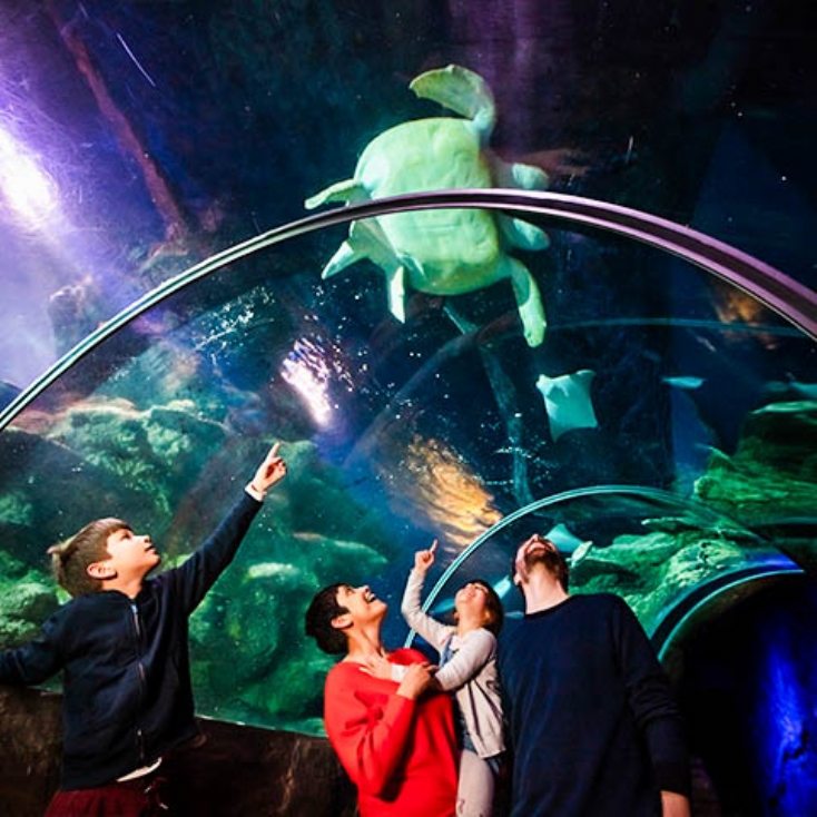 Sealife London Aquarium 2 Course Meal at The Hard Rock Cafe for Two