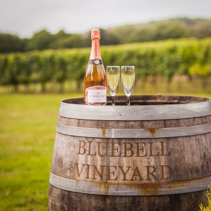 Vineyard Tour And Tasting Experience For Two Find Me A Gift
