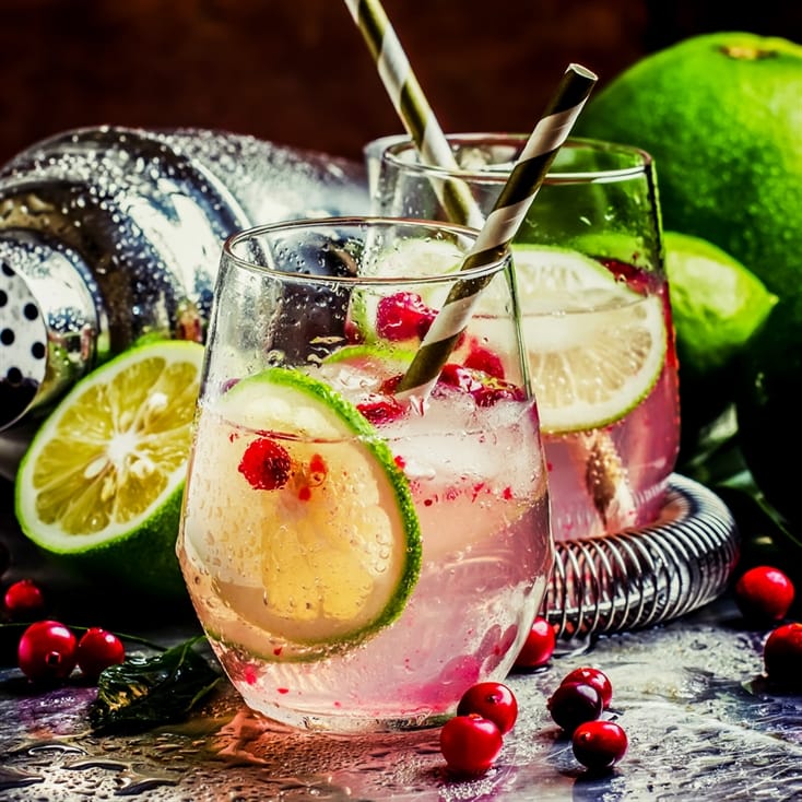 Two Tickets to the Gin to my Tonic Festival