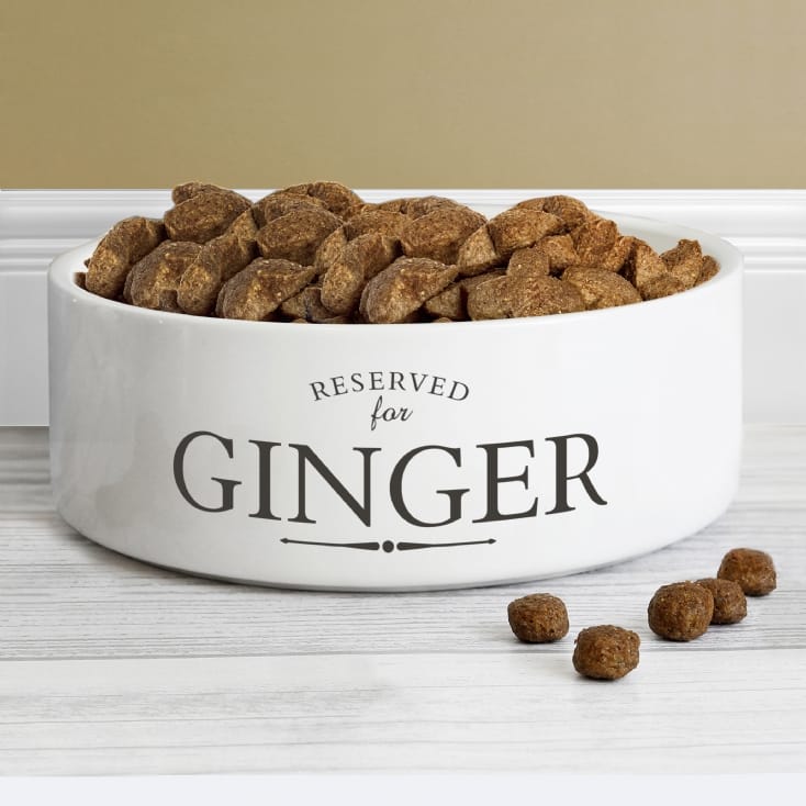 The Perfect Gift for Pet Lovers