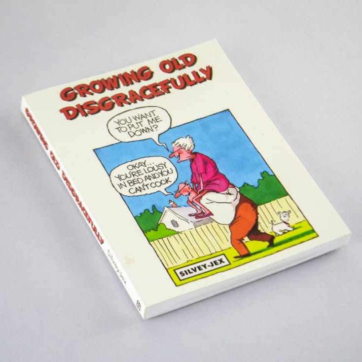 Growing Old Disgracefully Book