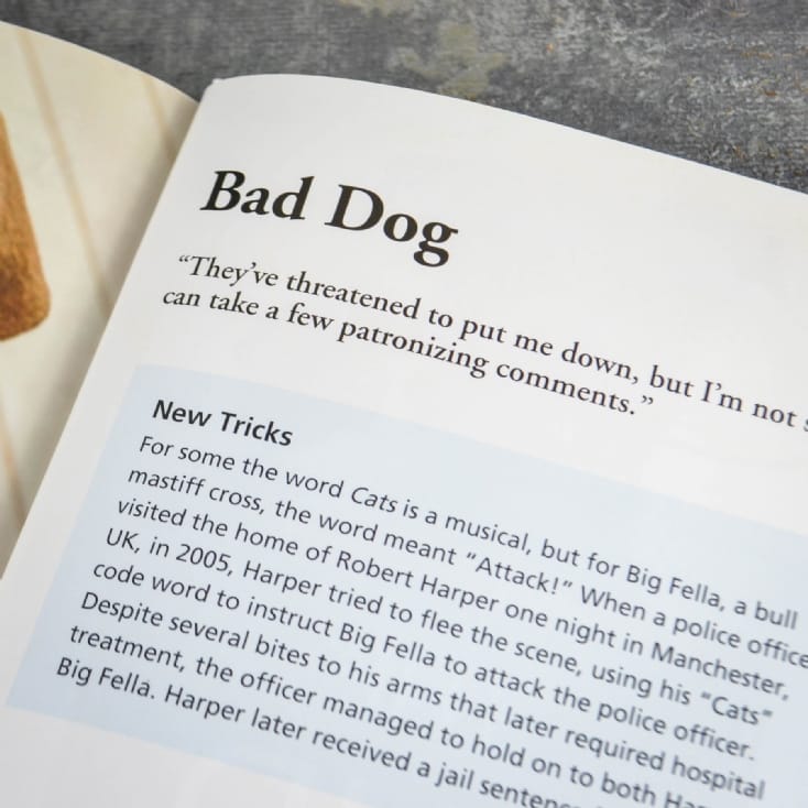 Dogs Gone Bad Real Life Stories Book