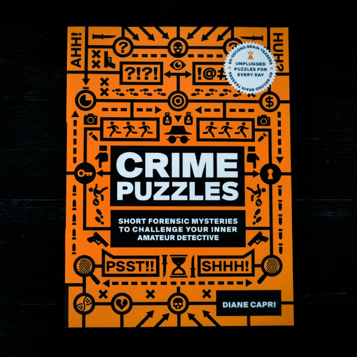 Crime Puzzles Book