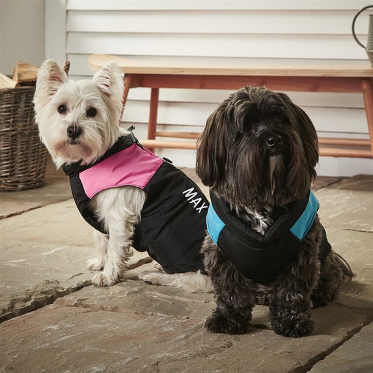 Personalised Dog Puffer Jacket Find Me A Gift