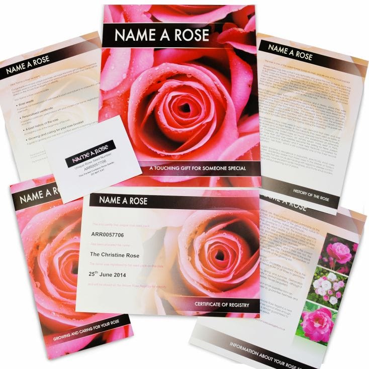 Name a Rose Bush