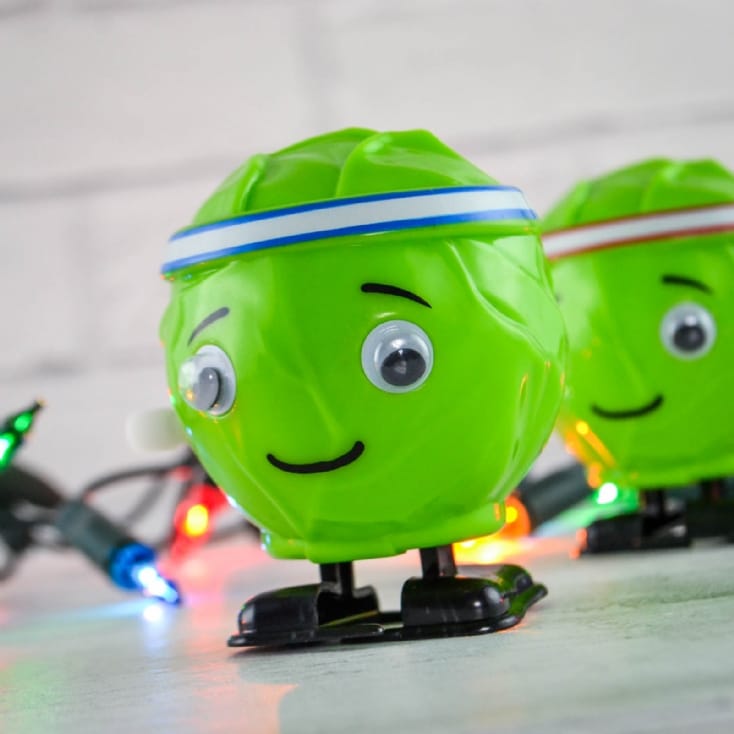 Wind Up Racing Sprouts