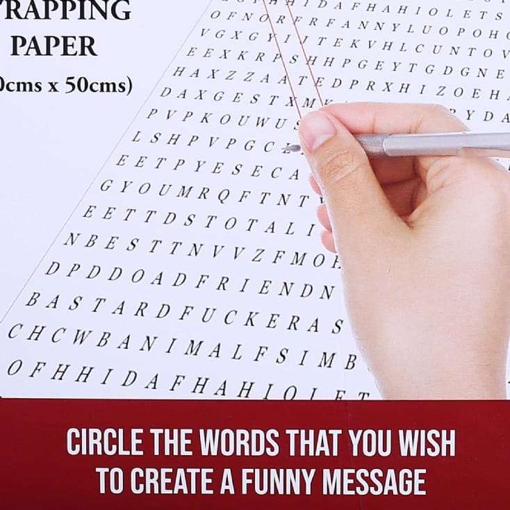 Rude Word Search Gift Wrap