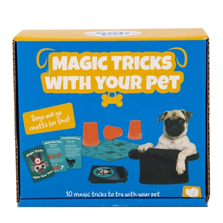 Magic Tricks With Your Pet