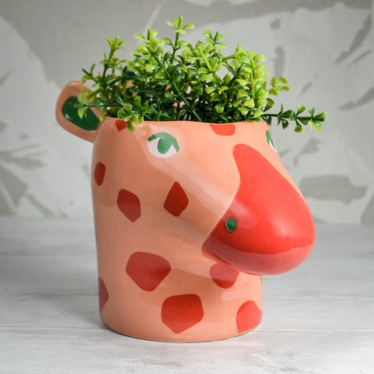 Giraffe Plant Pot