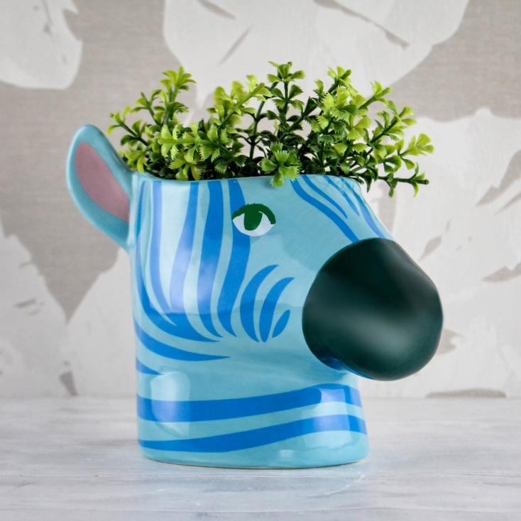 Blue Zebra Plant Pot