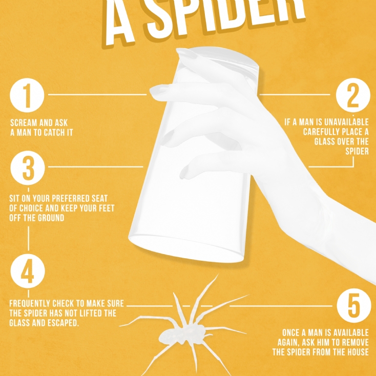 how to catch a spider poster