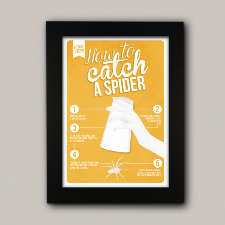 how to catch a spider poster