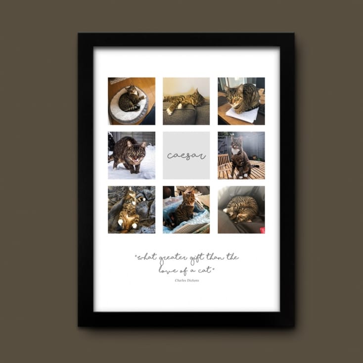 personalised cat print