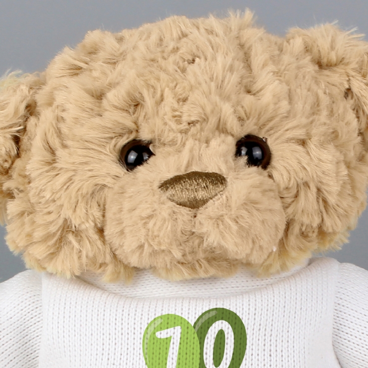 Personalised 70th Birthday Balloon Teddy Bear