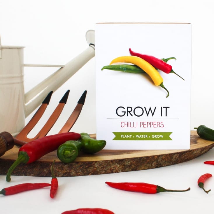 Grow Your Own Serrano Chilli Plant Kit