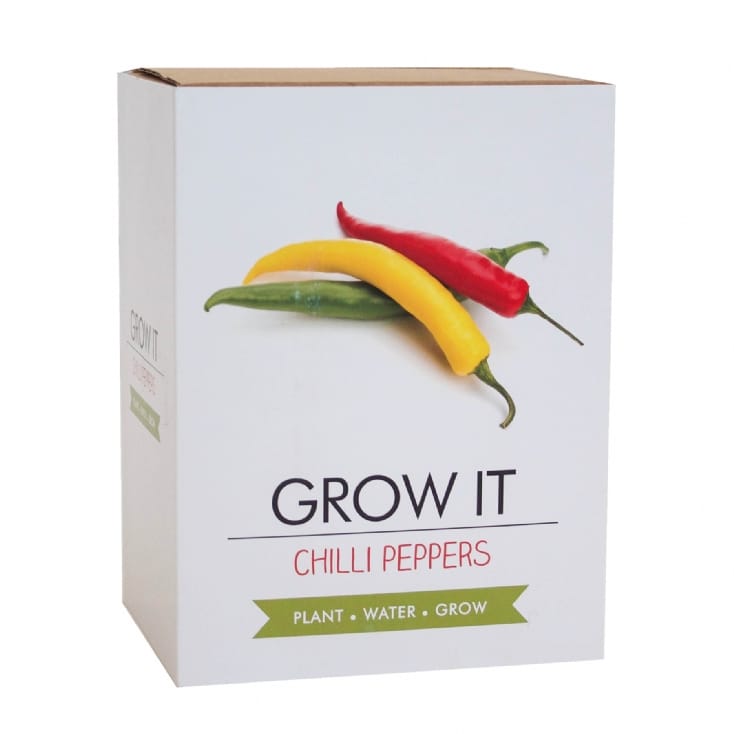 Grow Your Own Chillies Chilli Growing Kit Find Me A Gift