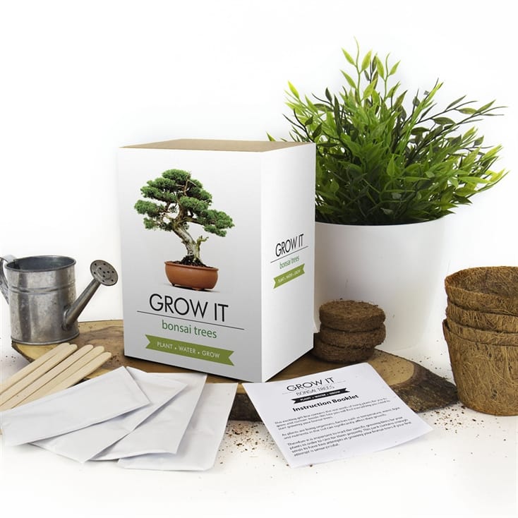 Gardening Gift Set Germination Starter Kit with Bonsai Tools Tetra Products Ltd 5 Bonsai Tree Seeds Species Urban Sprout Bonsai Tree Kit Grow Your Own Bonsai Trees from Seeds