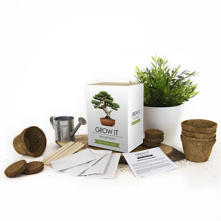 Grow Your Own Bonsai Tree Kit Find Me A Gift
