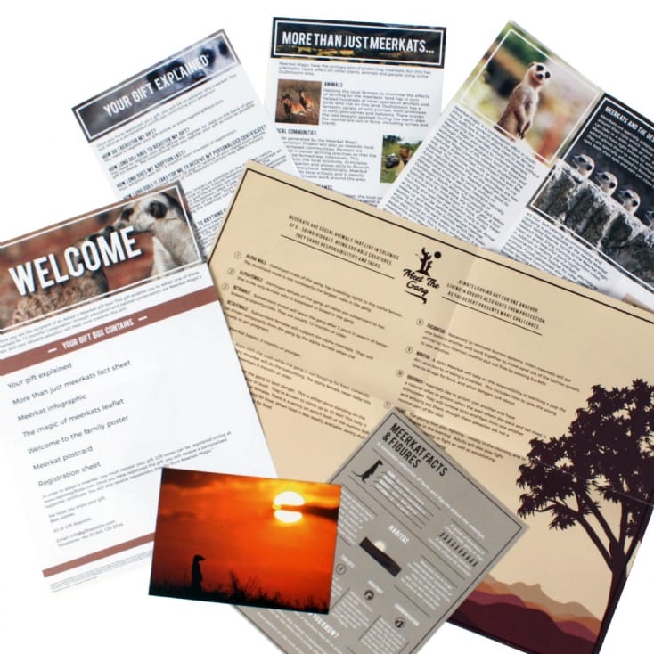 Adopt a Meerkat Gift Box | Find Me A Gift