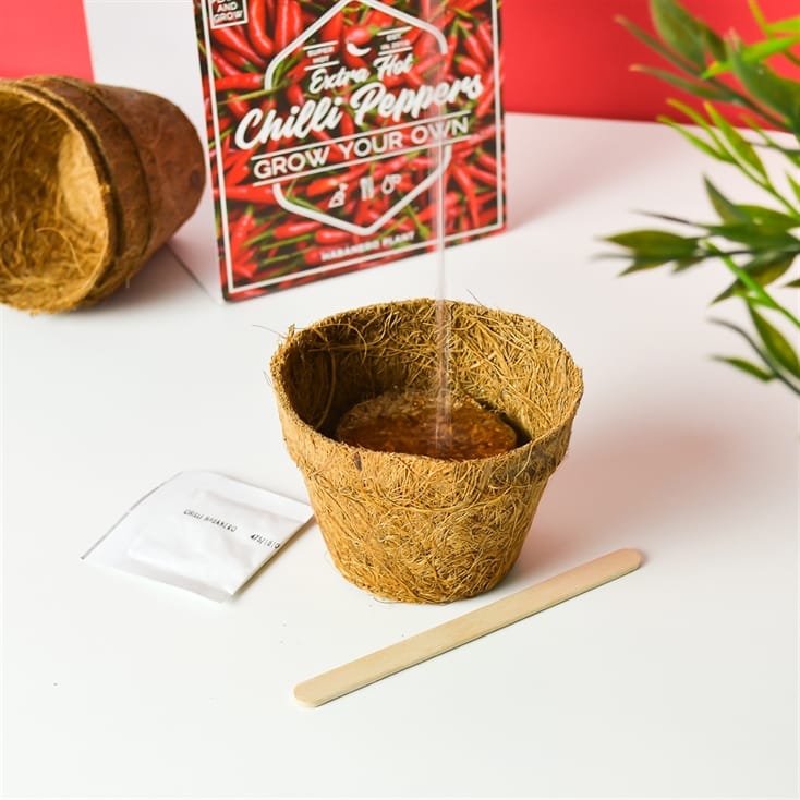 Grow Your Own Extra Hot Chilli Peppers Find Me A Gift