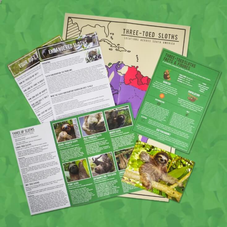 Adopt a Sloth | Find Me A Gift