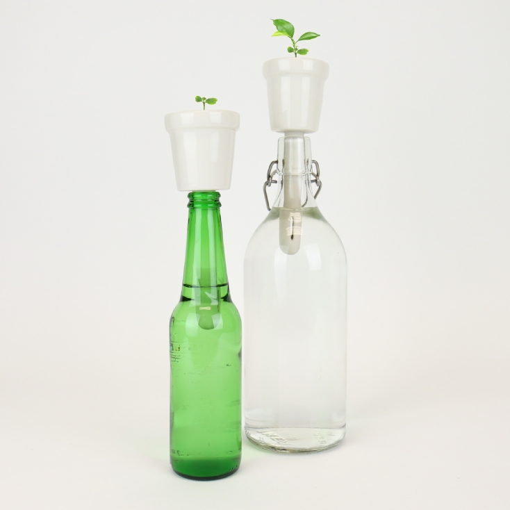 Botanical Bottle Top Growing Kits