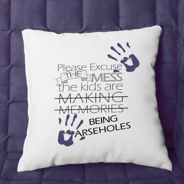 Please Excuse The Mess Novelty Cushion