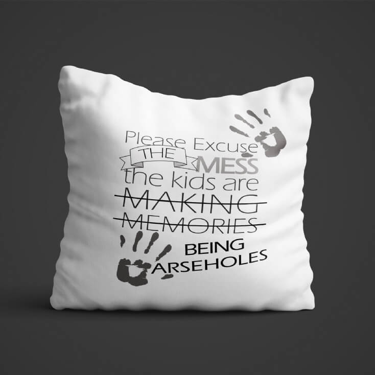 Please Excuse The Mess Novelty Cushion
