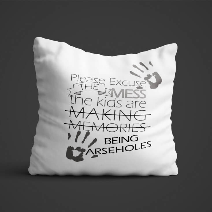 novelty cushion