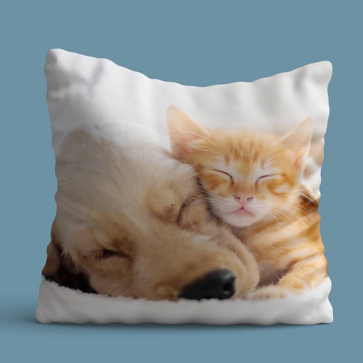 Personalised Pet Photo Cushion