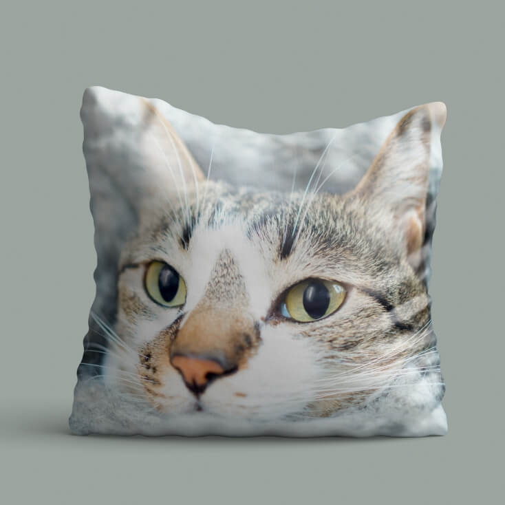Personalised Pet Photo Cushion