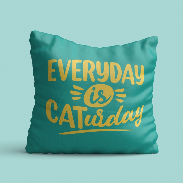 Everyday is Caturday Cushion