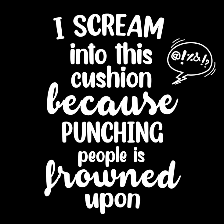 Punching People is Frowned Upon Funny Cushion