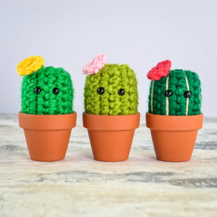 Handmade Mini Crochet Cactus Trio