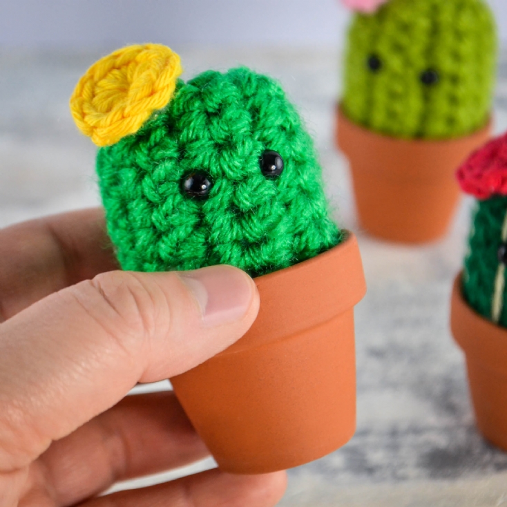 Handmade Mini Crochet Cactus Trio