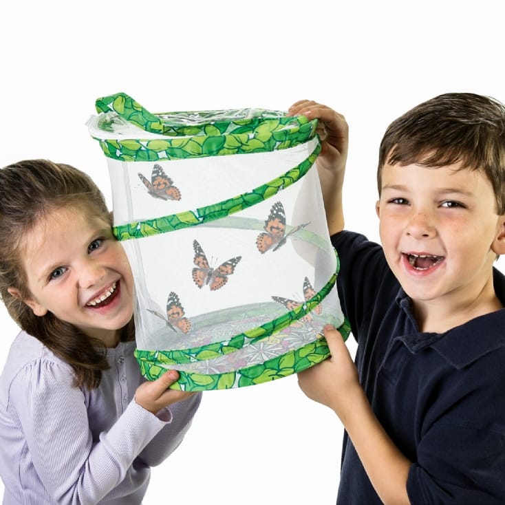 Insect Lore Butterfly Garden Live Butterfly Kit