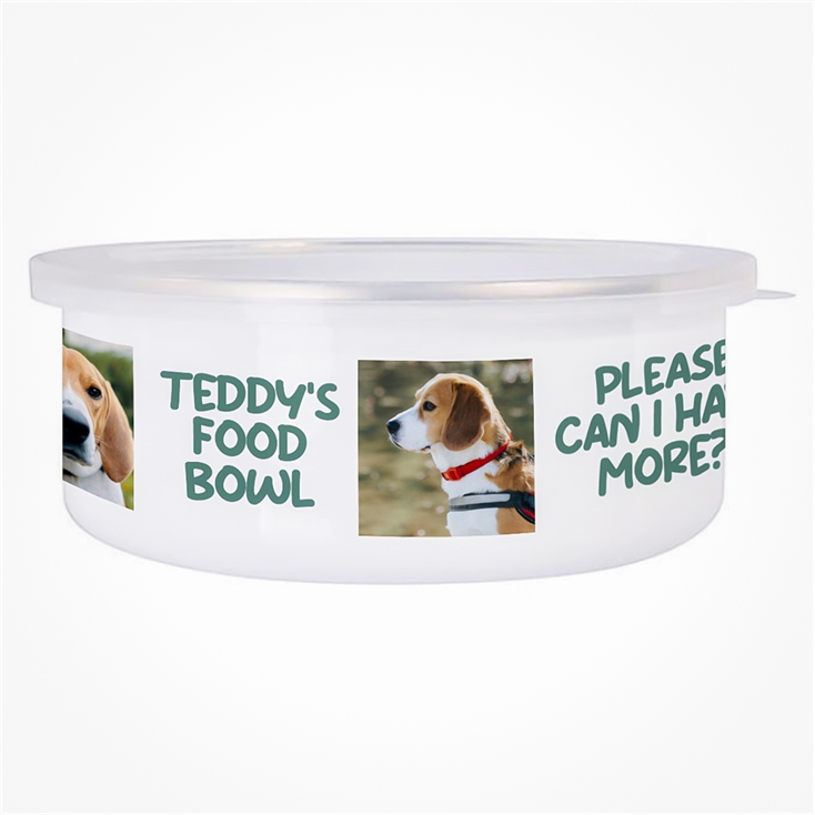 Enamel best sale dog bowl