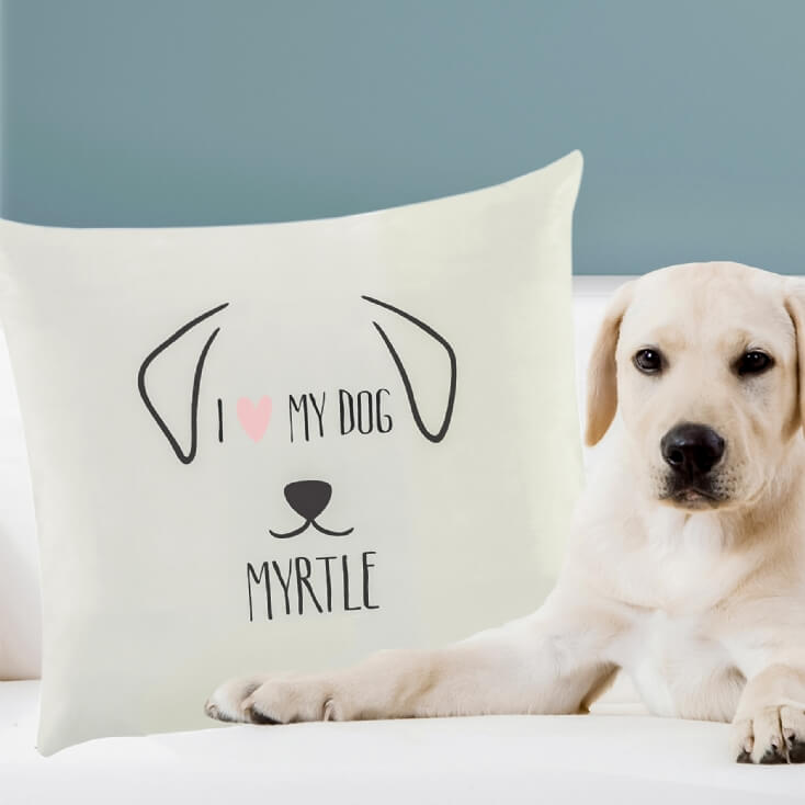 pillow with your dog on it