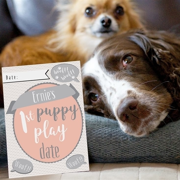 Personalised Puppy Cards For Milestone Moments